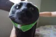 Tim