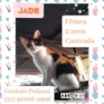 Jade