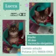 Lucca