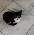 Não sei