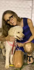 Cachorro raça Poodle idade 3 anos nome Mel