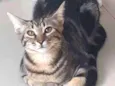 Nina
