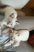 Markus & Magnus