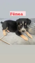 Sem nome