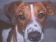 Lila