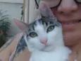 Mobi