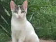 Mobi