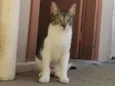 Elba
