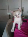 Bob