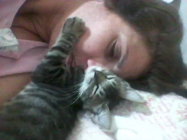 Gato ra a SRD-ViraLata idade 2 a 6 meses nome Leozinho