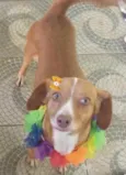 Nina 