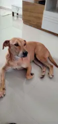 Não sei