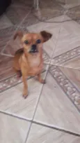 Madona