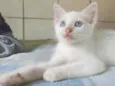Jimmy