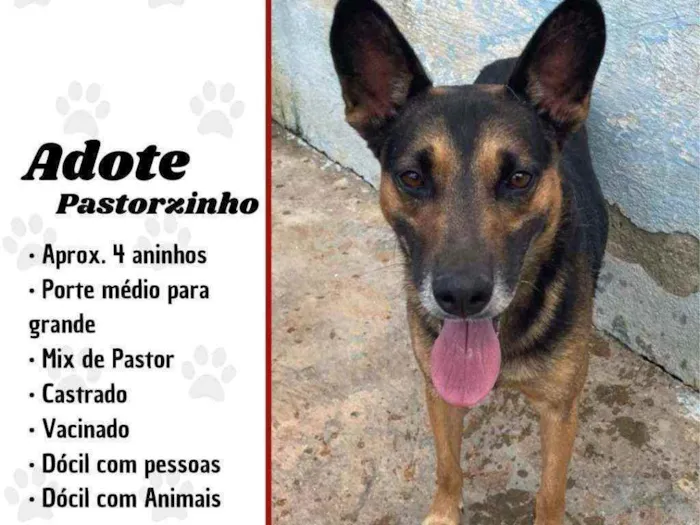 Partorzinho