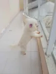 Não sei