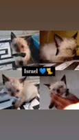 Está nas fotos ??