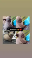 Esta nas fotos ??