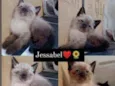 Esta nas fotos ??