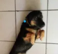 Lito