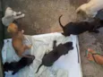 Nina e estrela
