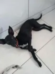 Soldado