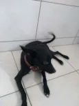 Soldado