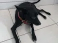 Soldado