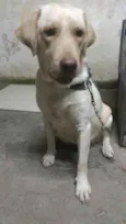 Meg
