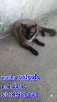 Sansaõ