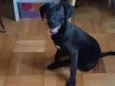 Zeca