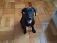 Zeca