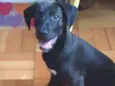 Zeca