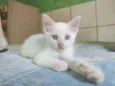 Jimmy