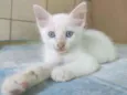 Jimmy