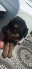 Sem nomes