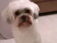 Symon