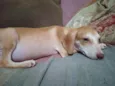 Polar