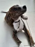 Plutão