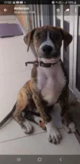 Plutão