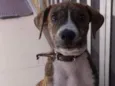 Plutão