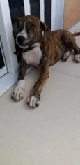 Plutão