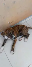Plutão