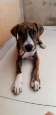Plutão