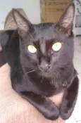 Alejandro