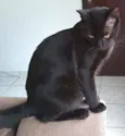 Alejandro