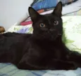 Alejandro