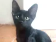Damião