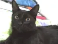 Alejandro