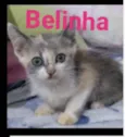 Belinha 